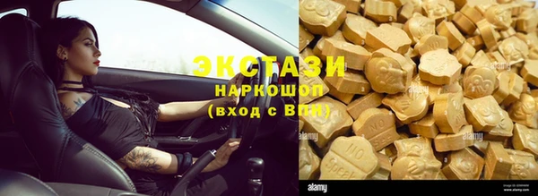 хмурый Аркадак