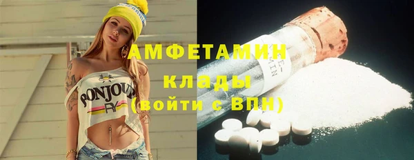 хмурый Аркадак