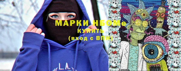 твердый Ельня