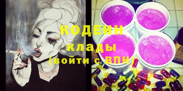хмурый Аркадак