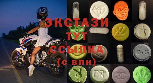 хмурый Аркадак