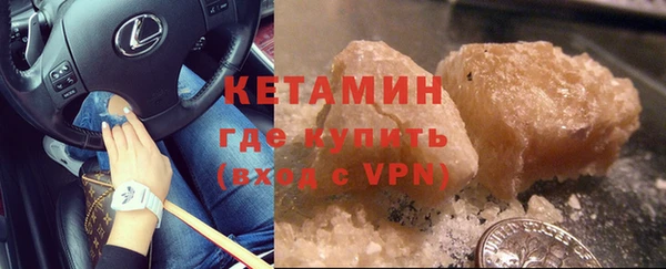 хмурый Аркадак