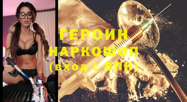 хмурый Аркадак