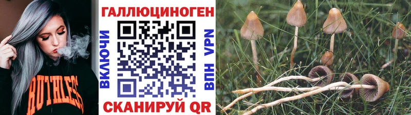 Псилоцибиновые грибы ЛСД  дарнет шоп  Тетюши 